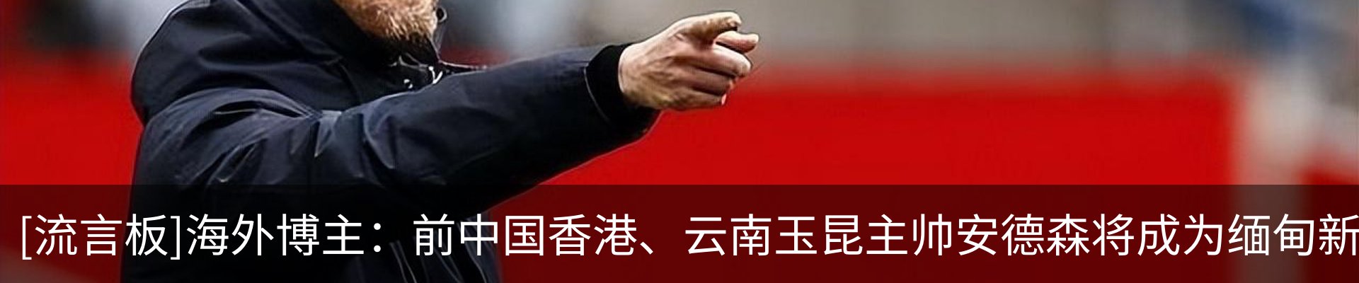 最新动态